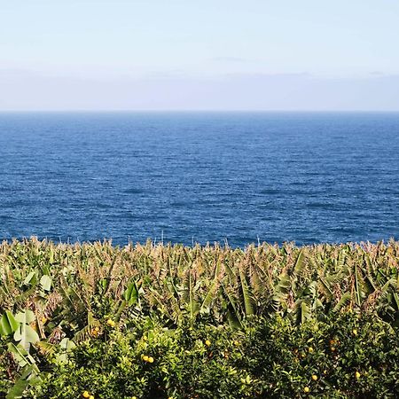 San Andres El Convento II Tranquilidad Y Vistas Unicasアパートメント エクステリア 写真